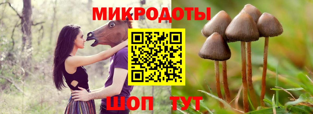 Галлюциногенные грибы GOLDEN TEACHER  Вход с VPN  Псилоцибиновые грибы мицелий  Ессентуки 